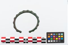 Foto von Bronzearmreif (NHMW-PRAE-024539)